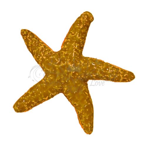 Ceramic Starfish. Favor. Gift Idea Hand-painted Vietri... 2