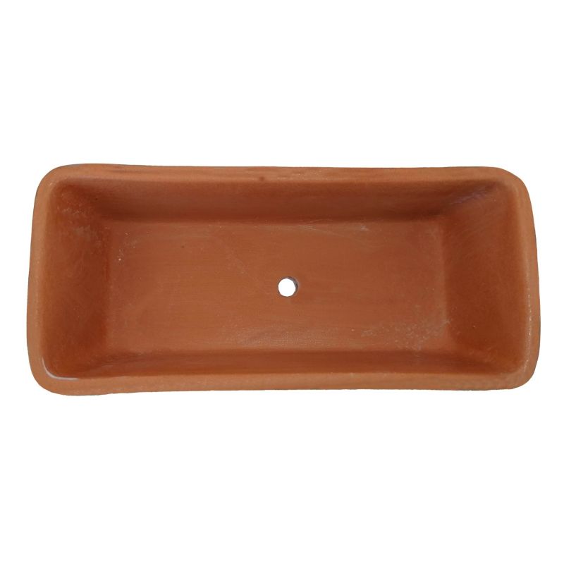Mini rectangular planter. Lemons and grapes....