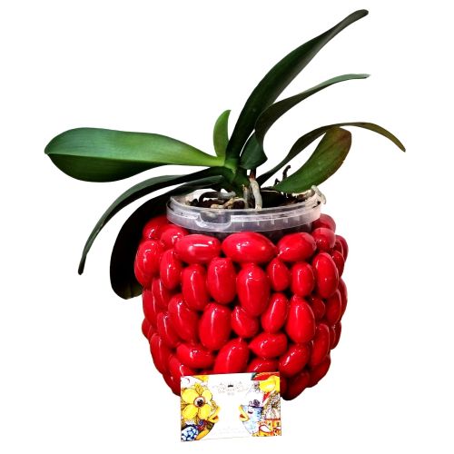 Pot flowerpot Relief vase in fine Vietri ceramics -Tomato...