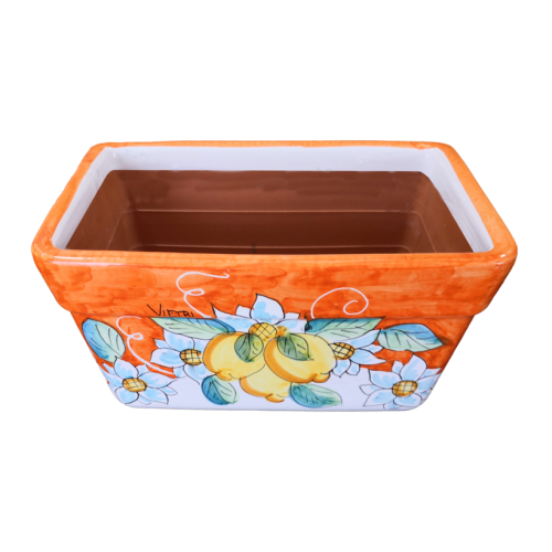 Fioriera a Cassetta Rettangolare. Fondo Arancio Fiori e...