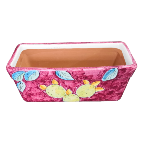 Rectangular Planter. Purple Base with Prickly Pears....