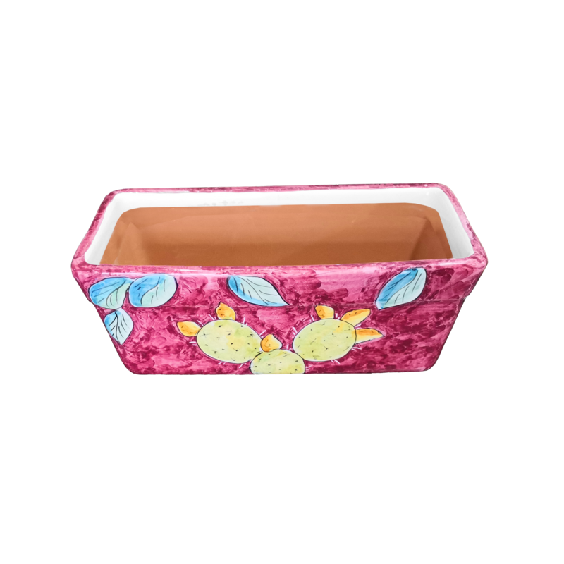Rectangular Planter. Purple Base with Prickly...