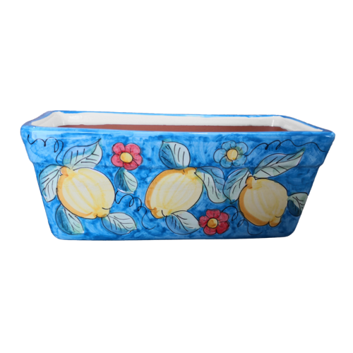 Rectangular Planter. Blue Base with Pomegranates and... 2