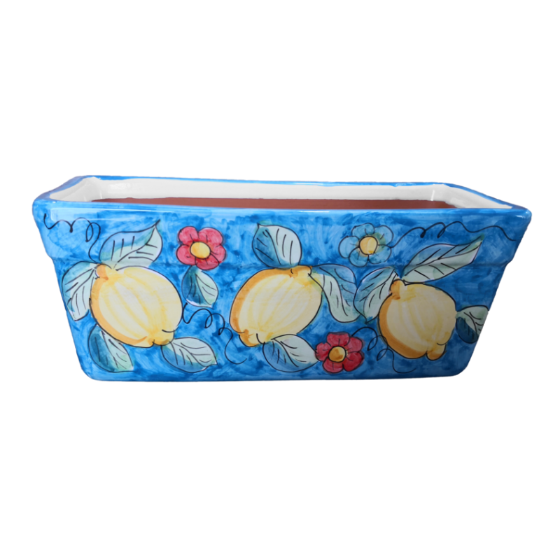 Jardinera rectangular. Fondo azul con granadas...